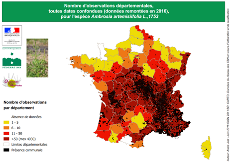 Description de l'image
